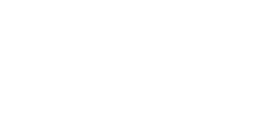 The Onibus Burger